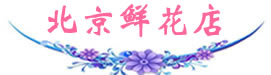 北京網(wǎng)上送花_北京鮮花_北京花店|北京花園鮮花店