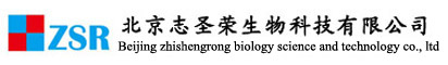 滅蟑螂|滅跳蚤|滅臭蟲|滅蟑螂公司|北京滅蟑螂|北京滅蟑螂公司|北京專業滅蟑螂 - 北京志圣榮生物科技有限公司