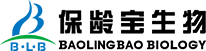 保齡寶