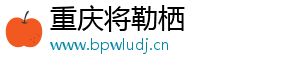 重慶將勒棲貿(mào)易有限公司