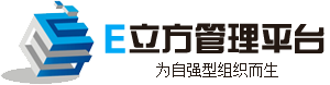 Excel服務(wù)器云平臺-E立方管理平臺-低代碼快速開發(fā)平臺