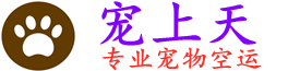 成都寵物空運|成都寵物托運|成都寵物空運公司|成都寵物空運電話|成都寵物飛機空運|成都寵物航空托運-成都寵上天寵物托運服務公司