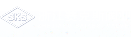 浙江賽克斯閥業有限公司