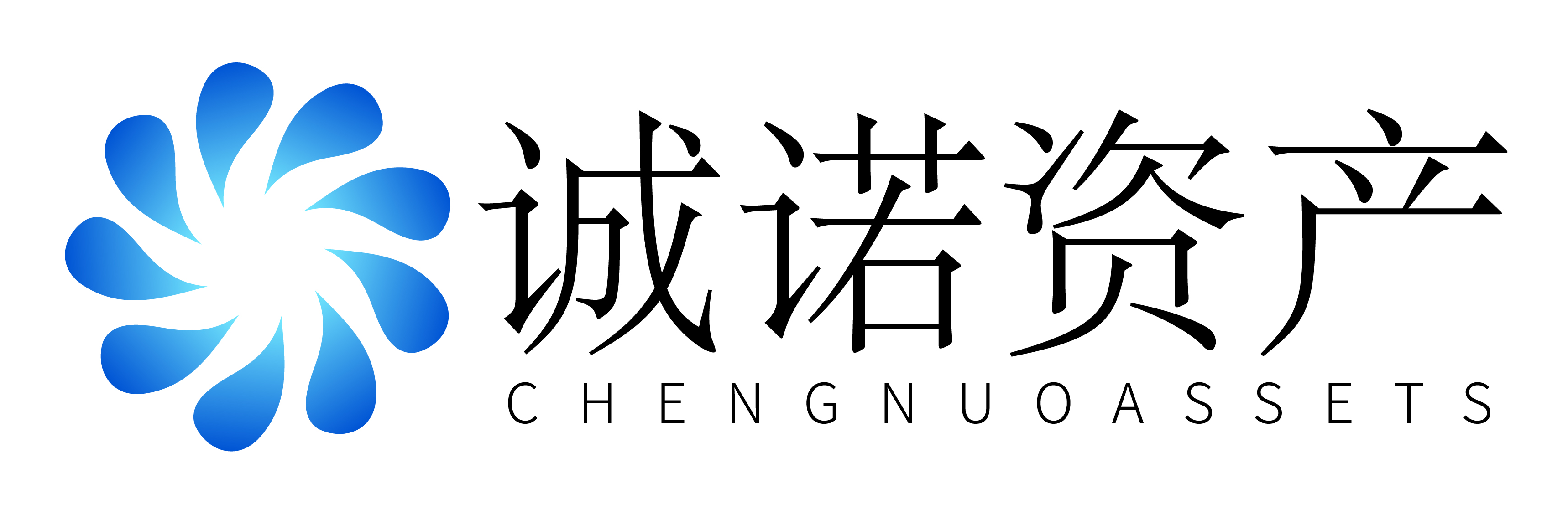 深圳誠諾資產管理有限公司