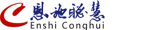 恩施聰慧軟件有限公司