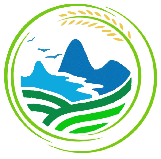 重慶椿辰科技有限公司_重慶椿辰科技有限公司