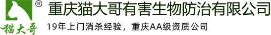 重慶除四害_物表空間消毒|殺蟲|滅鼠|滅白蟻|滅蒼蠅|滅蟑螂-重慶貓大哥專業殺蟲公司