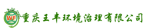 重慶王豐環(huán)境治理有限公司