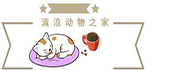 流浪動物之家