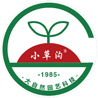 福星蘋果苗-蘋果苗新品種-小草溝種苗-萊州大自然園藝科技