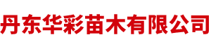 丹東華彩苗木有限公司-丹東華彩苗木-藍(lán)莓苗基地-東北紅豆杉基地