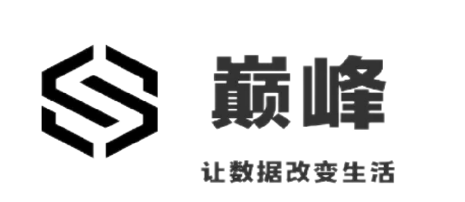 四川巔峰大數據科技有限公司_巔峰大數據