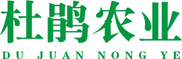 貴州杜鵑農業【官網】_杜鵑農業