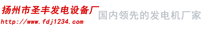 無刷發電機單機-柴油發電機組廠家-揚州市圣豐發電設備廠