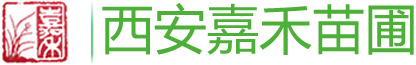西安辦公室花卉租擺|綠植租賃|嘉禾苗圃寫字樓綠植花卉租賃租擺