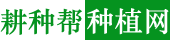 耕種幫種植網_提供實用農業種植技術
