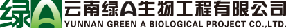 首頁-
螺旋藻產業從這里起步！云南綠A-官方網站 | 云南綠A生物工程有限公司|云南省螺旋藻公司|云南省螺旋藻批發公司