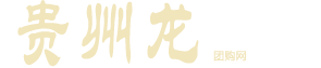 貴州龍-貴州龍粽子/貴州龍月餅/年貨-貴州龍膳香坊食品有限公司