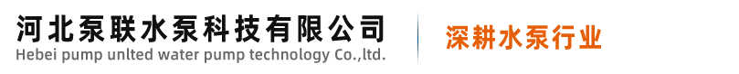 渣漿泵_渣漿泵生產(chǎn)廠家_磁力泵-河北泵聯(lián)水泵科技有限公司