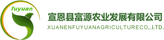 白柚果茶_宣恩白柚_柚子粉-宣恩縣富源農業發展有限公司