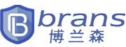 合肥傳感器_安徽稱重傳感器廠家_扭矩傳感器哪家好_合肥博蘭森測(cè)控
