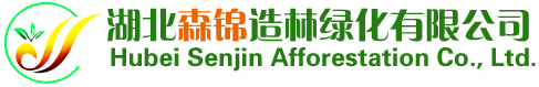 湖北森錦造林綠化有限公司