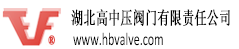 湖北高中壓閥門有限責任公司　_湖北高中壓閥門有限責任公司