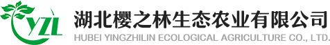 湖北櫻之林生態農業有限公司-櫻之林苗木基地-櫻花種苗-櫻花-紅楓