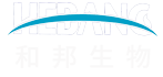 四川和邦生物科技股份有限公司官網(wǎng)