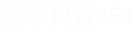 抖音SEO優(yōu)化-短視頻SEO排名-抖音關(guān)鍵詞搜索優(yōu)化推廣公司