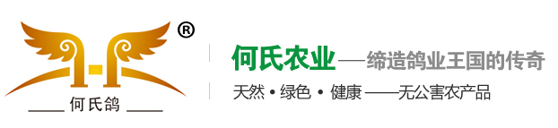 鴿子_鴿子蛋_鴿蛋_鴿子供應商_純天然鴿蛋_何氏鴿子蛋_東陽何氏農業發展有限公司
