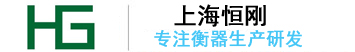 電子地磅,稱重機,輪椅秤-上海恒剛儀器儀表有限公司