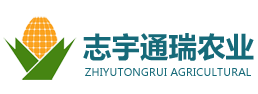 玉米壓片廠-志宇通瑞