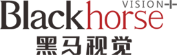 深圳畫冊設(shè)計(jì)|畫冊設(shè)計(jì)|logo設(shè)計(jì)|網(wǎng)站設(shè)計(jì)|vi設(shè)計(jì)公司-深圳市黑馬視覺品牌設(shè)計(jì)有限公司