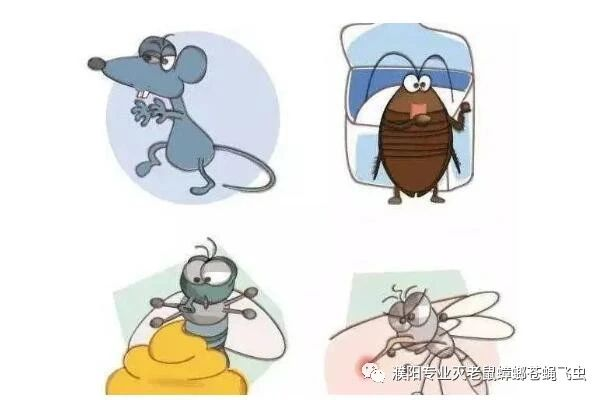 濮陽滅蟑螂,濮陽滅四害,濮陽滅鼠公司-河南百滅環境科技有限公司