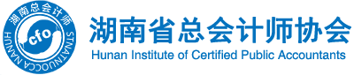 湖南省總會計師協會