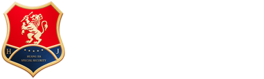 高端安保·安全檢查·隨身護(hù)衛(wèi)-河南皇甲特衛(wèi)保安服務(wù)集團(tuán)有限公司