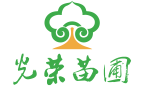 湖南花木基地,湖南苗木種植基地,湖南苗木網,長沙花木網上市場,長沙苗木最新批發價格,湖南長沙綠化苗圃基地,湖南苗圃網|瀏陽市柏加鎮光榮苗圃