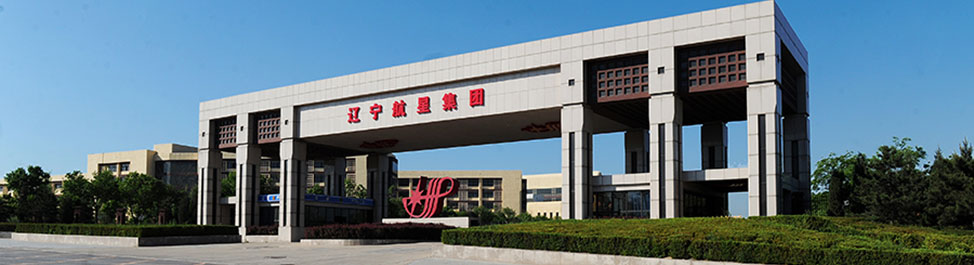 錦州航星集團有限公司