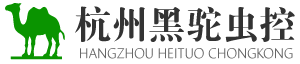 杭州滅鼠公司_杭州專業(yè)滅鼠_杭州滅白蟻_杭州滅蟑螂_杭州除四害_杭州黑駝滅鼠公司