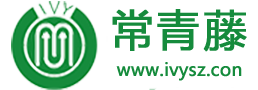 專注葡萄籽粉藍(lán)莓粉ODM加工_酵素代工oem的廠家-深圳常青藤生物科技公司