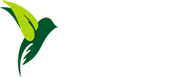 別墅景觀設計_私家庭院景觀設計_別墅景觀施工_庭院綠化養護-深圳市嘉禾田環境藝術設計有限公司