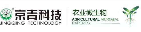 山東京青農(nóng)業(yè)科技有限公司-益生元 微生物菌肥 微生物菌劑
