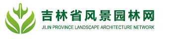 ayx愛游戲體育中國官方網站-app手機版