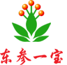 吉林一寶人參股份有限公司