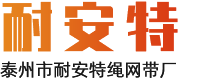 泰州市耐安特繩網帶廠-復合繩-尼龍繩-安全帶