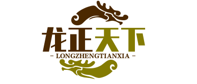 龍正天下體育網
