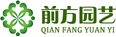 五色草立體花壇-五色草造型-菊花種苗造型-開封前方園藝有限公司-開封前方園藝有限公司