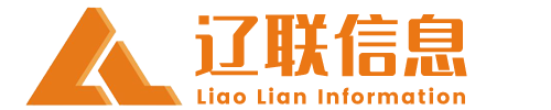智慧遼聯，共贏未來 - 財源大數據建設公共服務平臺 - 遼聯信息