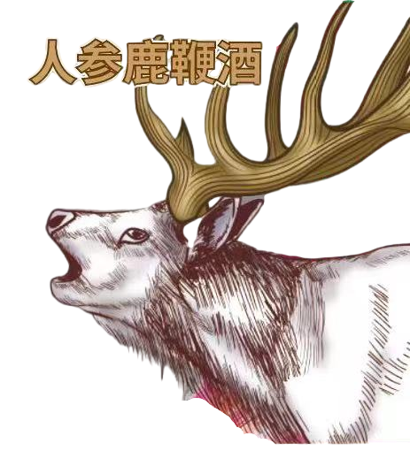 百輝鹿業_人參鹿鞭酒_人參牡蠣鹿鞭片_鹿茸血酒_明水縣百輝梅花鹿養殖場